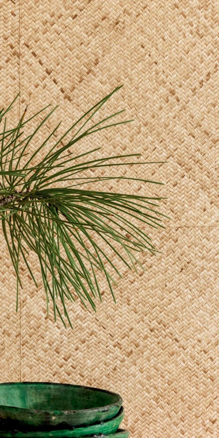 TAPETA ŚCIENNA ROTIN