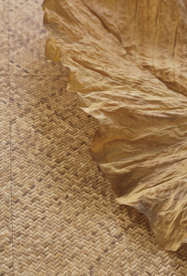 TAPETA ŚCIENNA ROTIN - obrazek 4