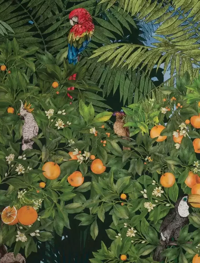 TAPETA ŚCIENNA ORANGE GROVE