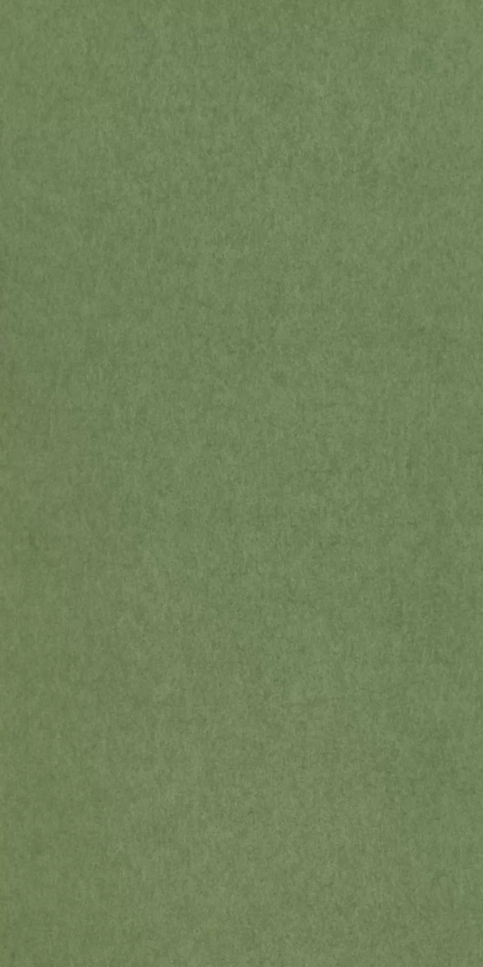 TAPETA ŚCIENNA CHROMA - obrazek 3