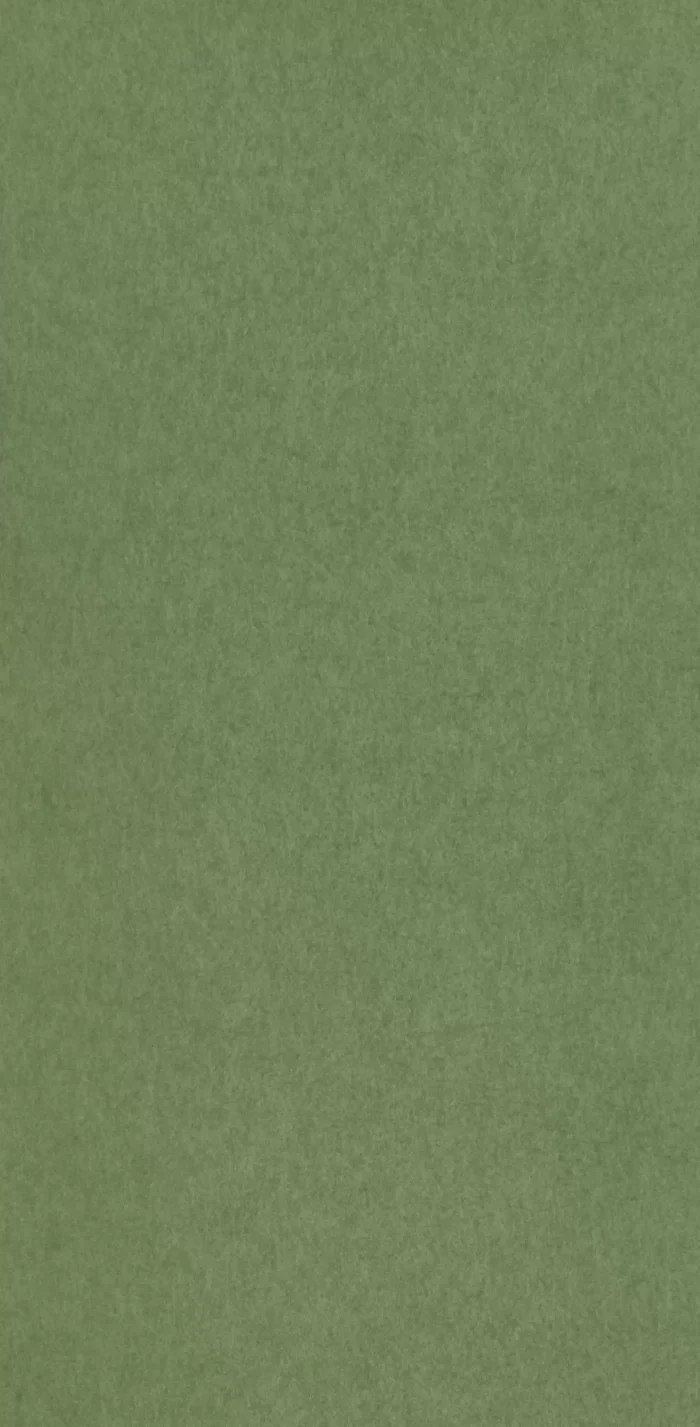 TAPETA ŚCIENNA CHROMA - obrazek 3