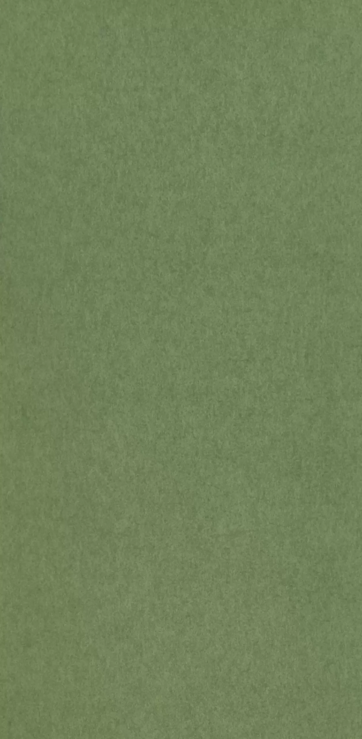 TAPETA ŚCIENNA CHROMA - obrazek 3