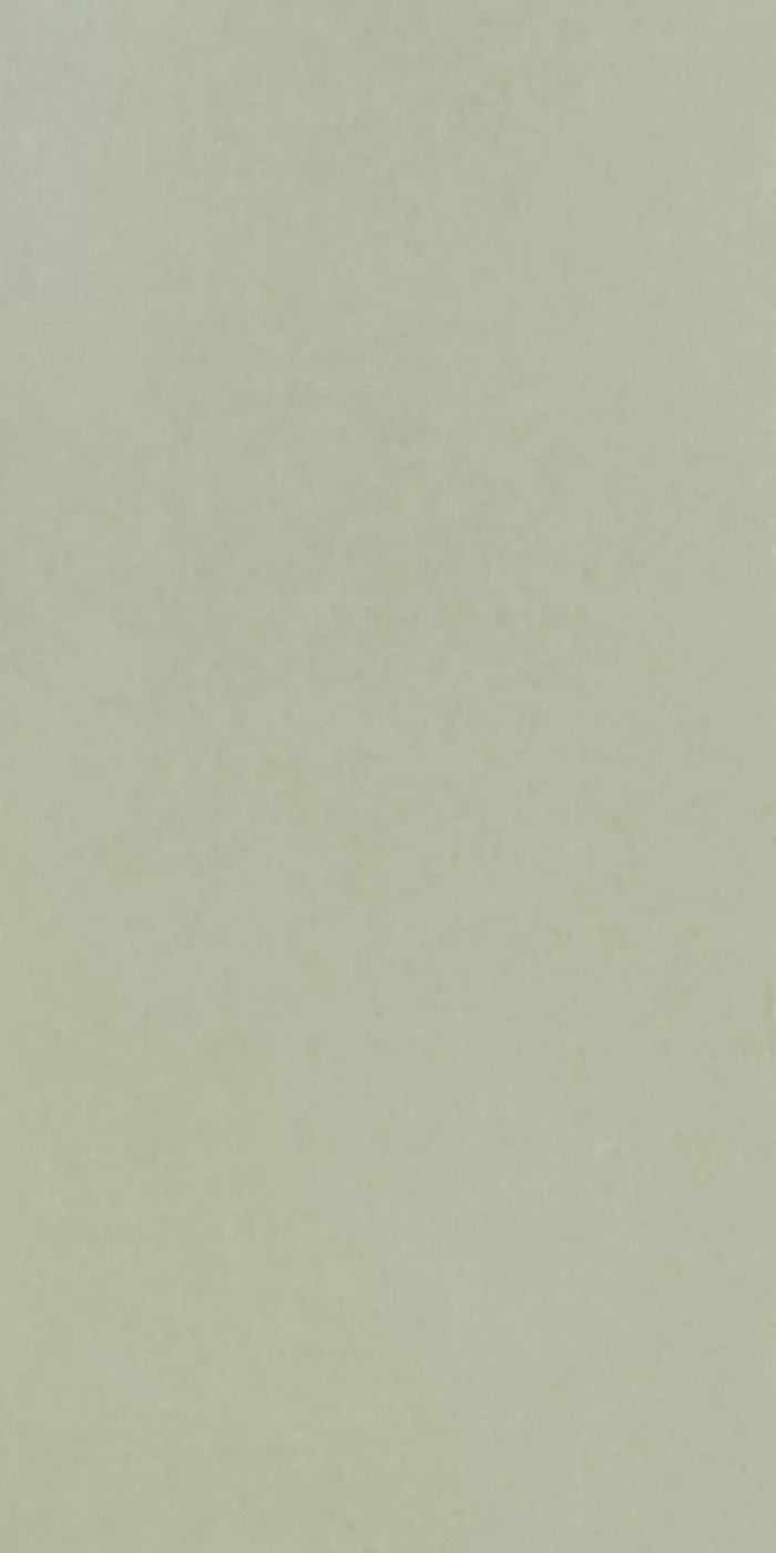 TAPETA ŚCIENNA CHROMA - obrazek 4