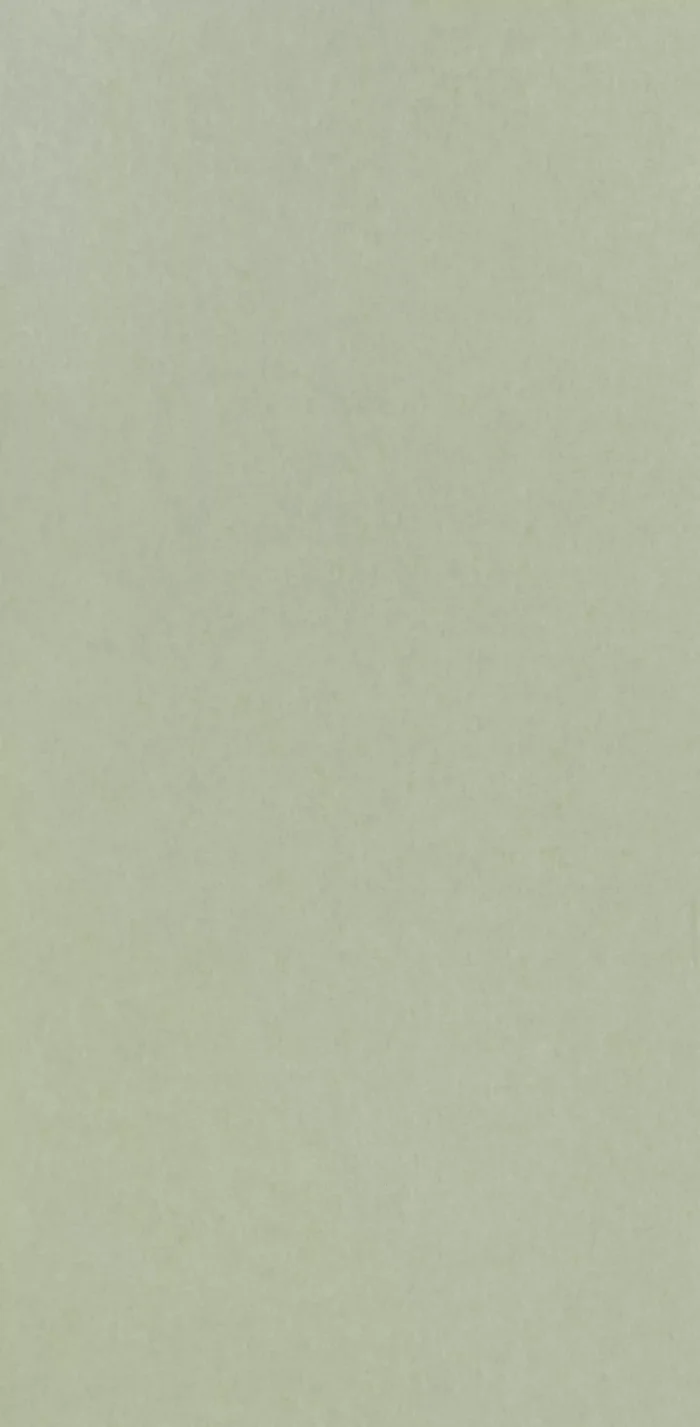 TAPETA ŚCIENNA CHROMA - obrazek 4