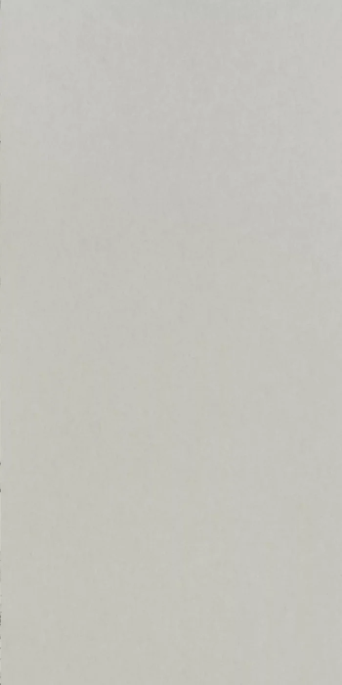 TAPETA ŚCIENNA CHROMA - obrazek 5