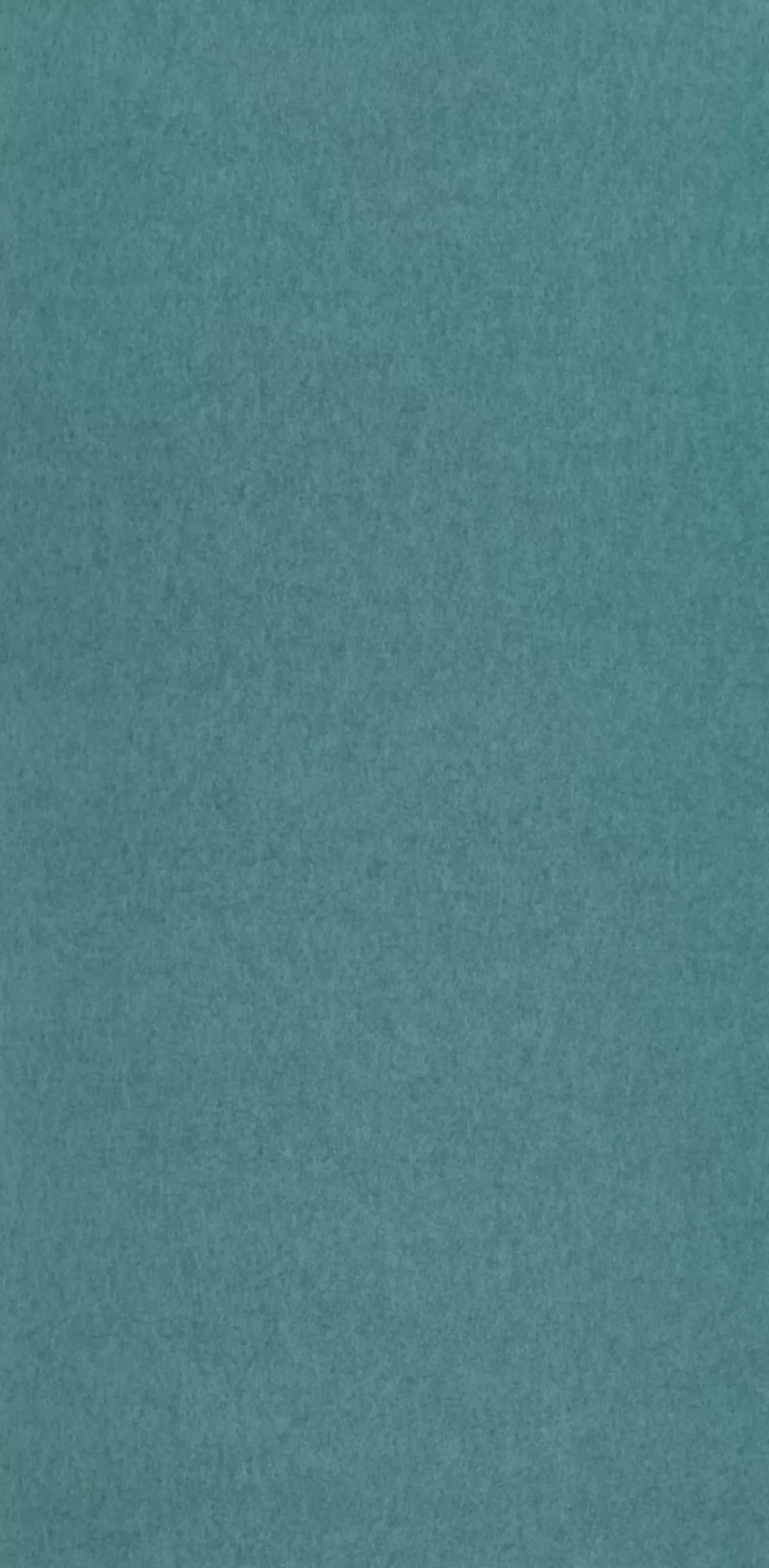 TAPETA ŚCIENNA CHROMA - obrazek 8