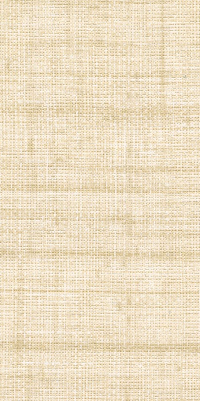 TAPETA ŚCIENNA ABACA - obrazek 13