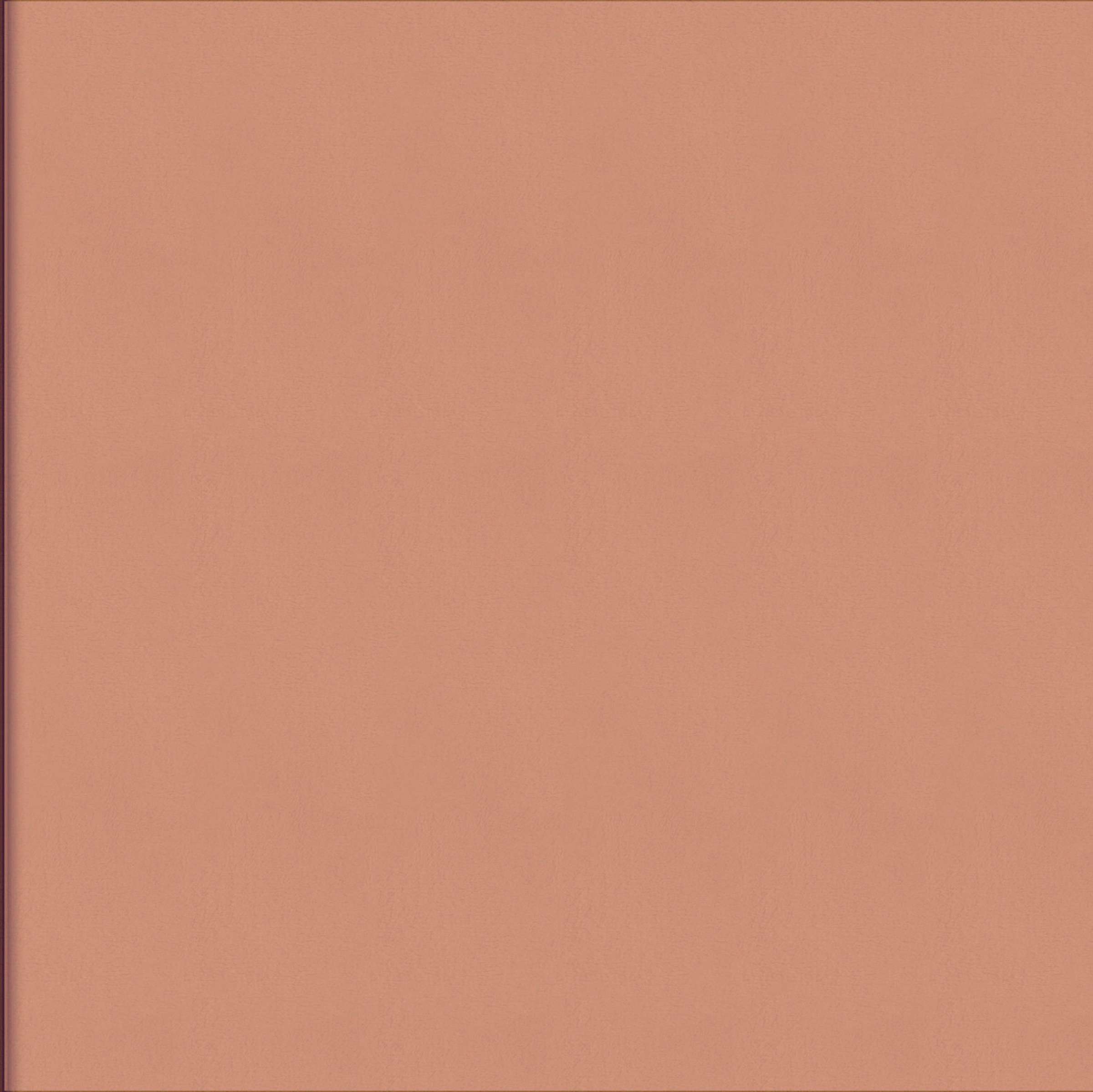 OKŁADZINA ŚCIENNA PARTHENON - obrazek 7