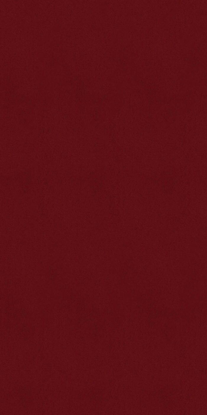 OKŁADZINA ŚCIENNA PARTHENON - obrazek 11