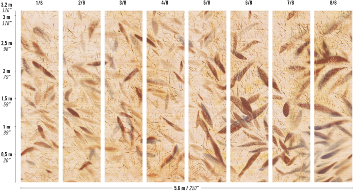 TAPETA ŚCIENNA BALLET - obrazek 5